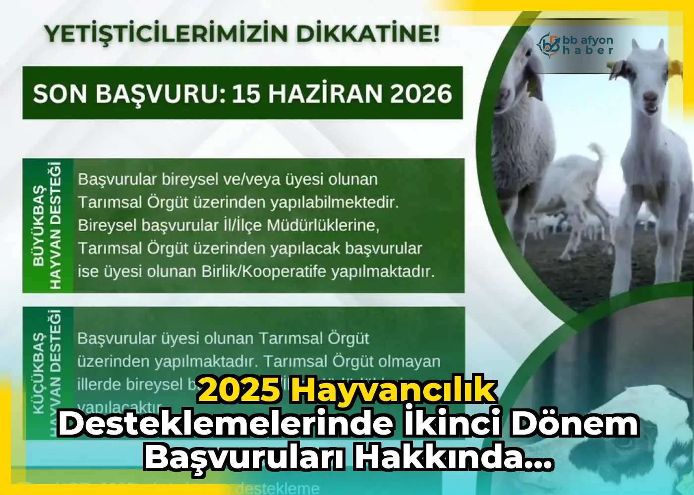 2025 Hayvancılık Desteklemelerinde İkinci Dönem Başvuruları Hakkında Bilgilendirme