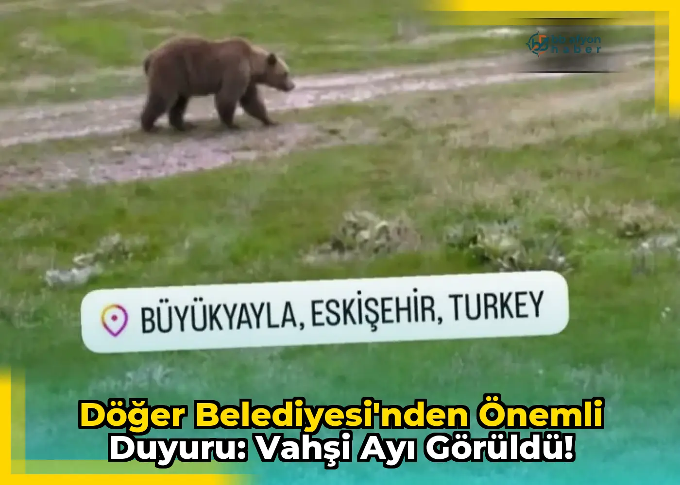 Döğer Belediyesi'nden Önemli Duyuru: Vahşi Ayı Görüldü!