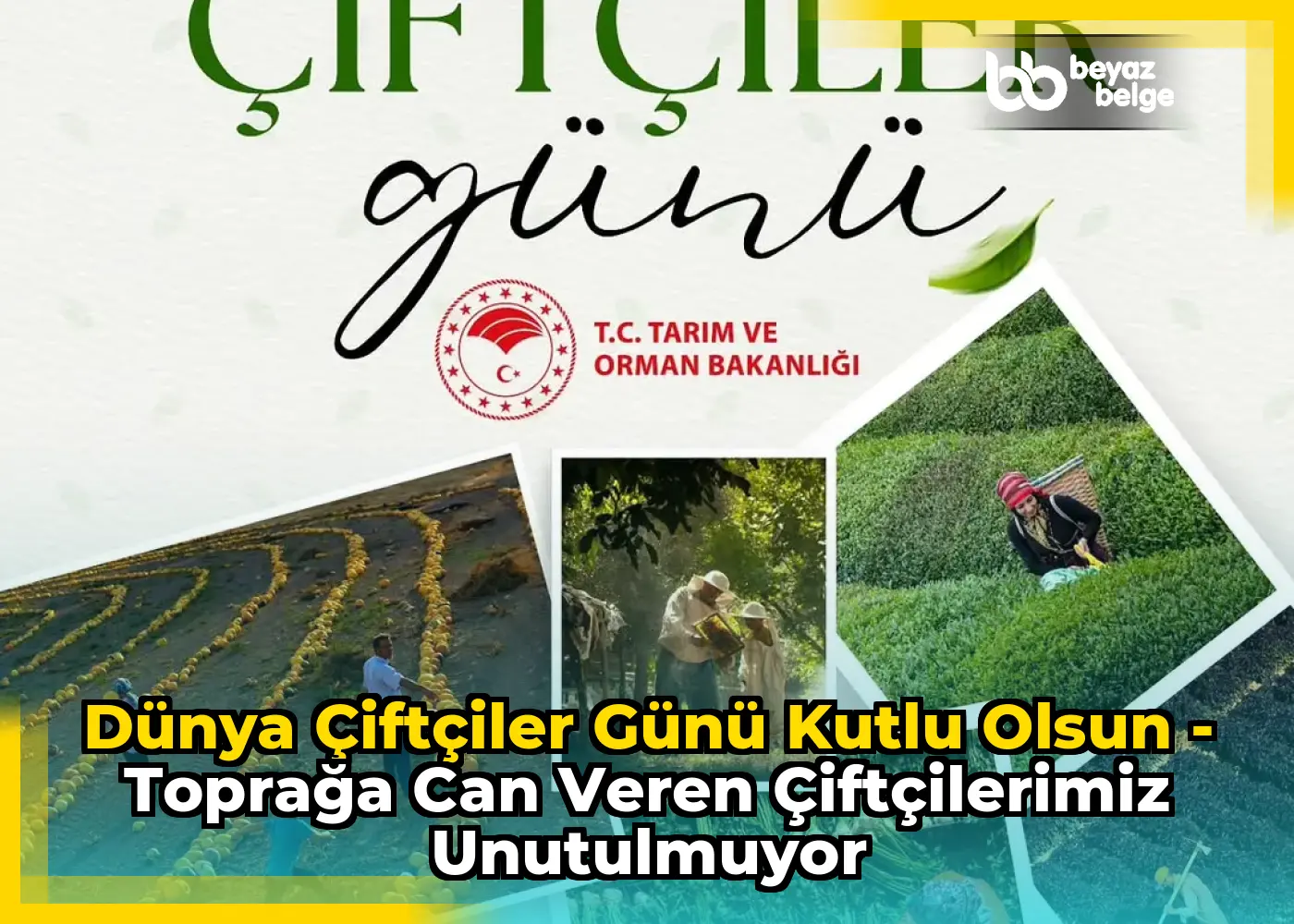 Dünya Çiftçiler Günü Kutlu Olsun - Toprağa Can Veren Çiftçilerimiz Unutulmuyor
